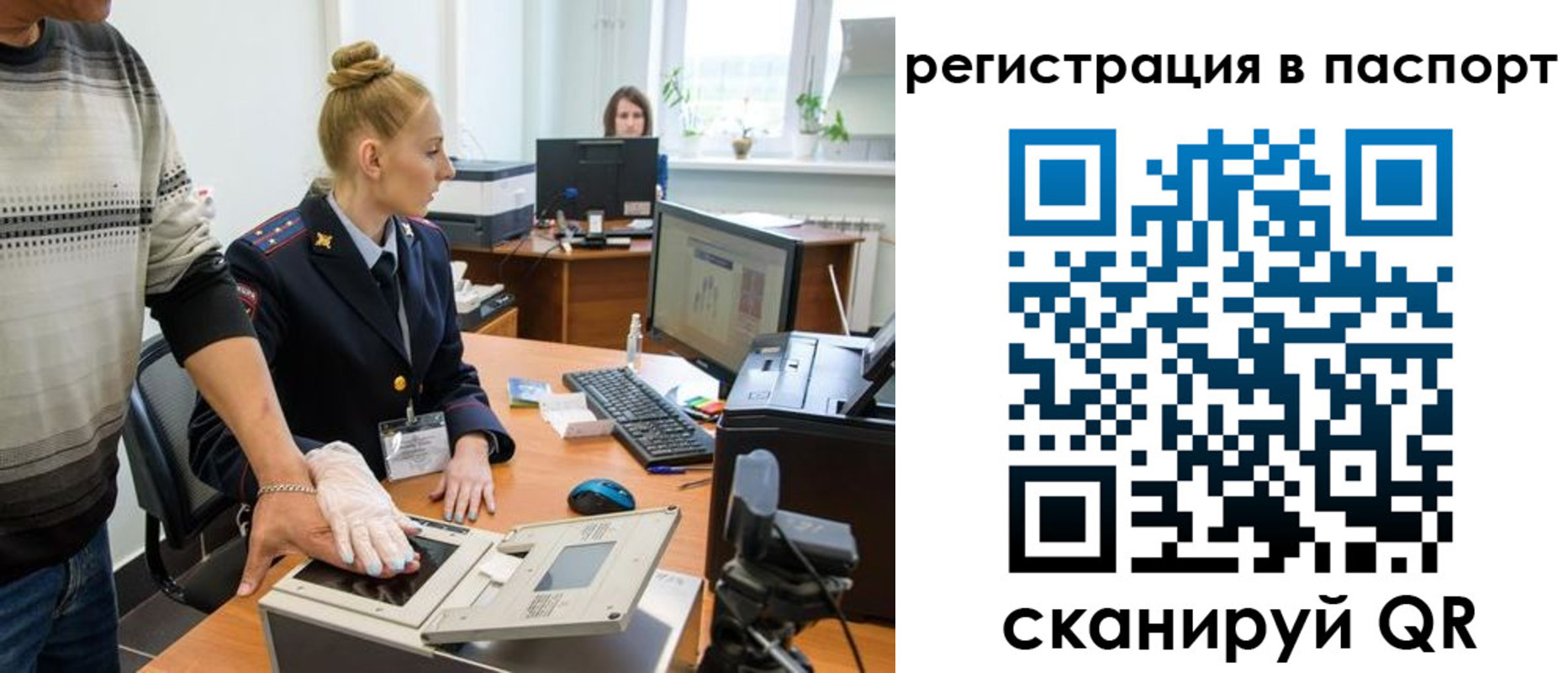 прописка гарантия в Братске